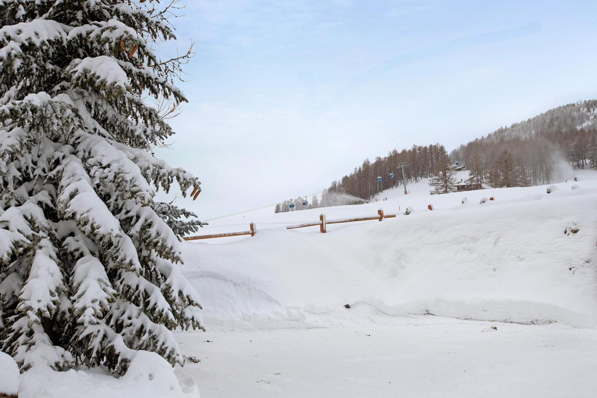 Alba Nordica Apartment Livigno